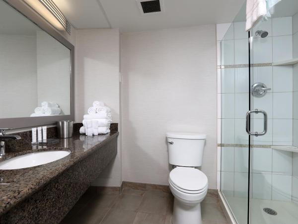 Radisson Hotel Winnipeg Downtown : photo 2 de la chambre chambre lit king-size premium - non-fumeurs