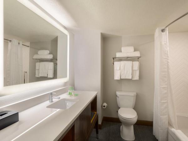 Holiday Inn & Suites Orlando SW - Celebration Area, an IHG Hotel : photo 3 de la chambre chambre avec 2 grands lits queen-size 