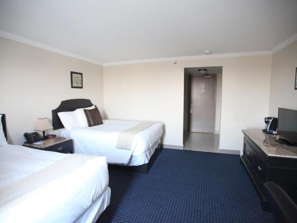 Montecassino Hotel & Suites : photo 3 de la chambre chambre exécutive avec 2 lits doubles