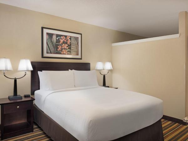 Holiday Inn & Suites Orlando SW - Celebration Area, an IHG Hotel : photo 8 de la chambre one-bed room - non-smoking