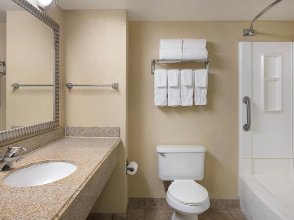 Holiday Inn & Suites Orlando SW - Celebration Area, an IHG Hotel : photo 4 de la chambre chambre lit king-size standard