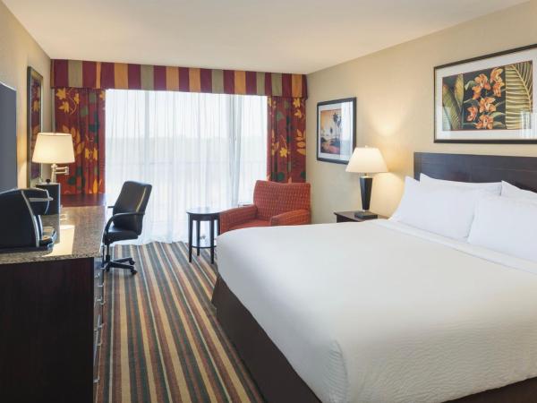Holiday Inn & Suites Orlando SW - Celebration Area, an IHG Hotel : photo 5 de la chambre chambre lit king-size standard