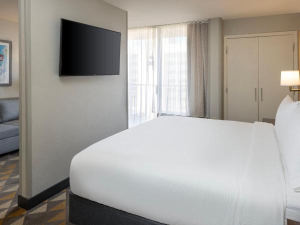 Holiday Inn & Suites Orlando SW - Celebration Area, an IHG Hotel : photo 4 de la chambre chambre lit king-size exécutive avec canapé-lit