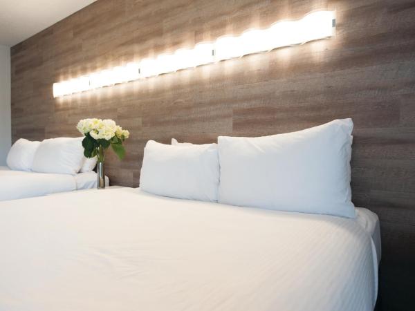 Elk + Avenue Hotel : photo 6 de la chambre chambre standard avec 2 lits queen-size