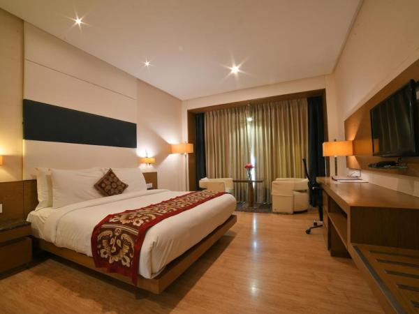 Narayani Heights, Ahmedabad : photo 1 de la chambre chambre double supérieure