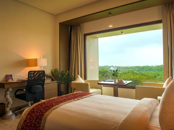 Narayani Heights, Ahmedabad : photo 2 de la chambre chambre double supérieure