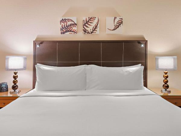 Hilton Dresden an der Frauenkirche : photo 4 de la chambre chambre double exécutive