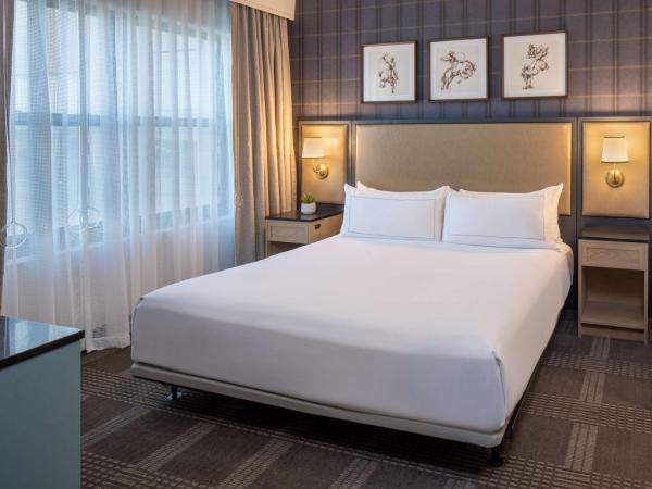 Hilton San Antonio Hill Country : photo 3 de la chambre chambre lit king-size avec douche accessible en fauteuil roulant - adaptée aux personnes à mobilité réduite/malentendantes