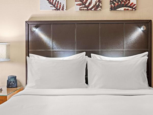 Hilton Dresden an der Frauenkirche : photo 4 de la chambre chambre lit queen-size deluxe