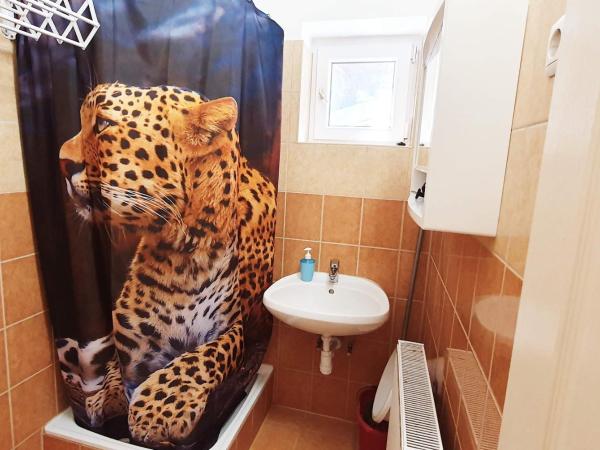 Apart Júlia Villa : photo 7 de la chambre appartement 1 chambre