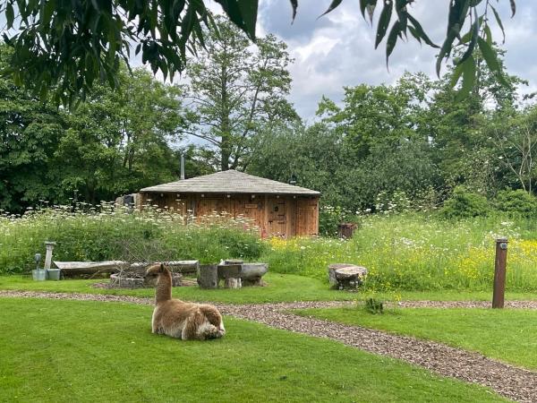 Acorn Glade Glamping : photo 2 de la chambre chalet supérieur