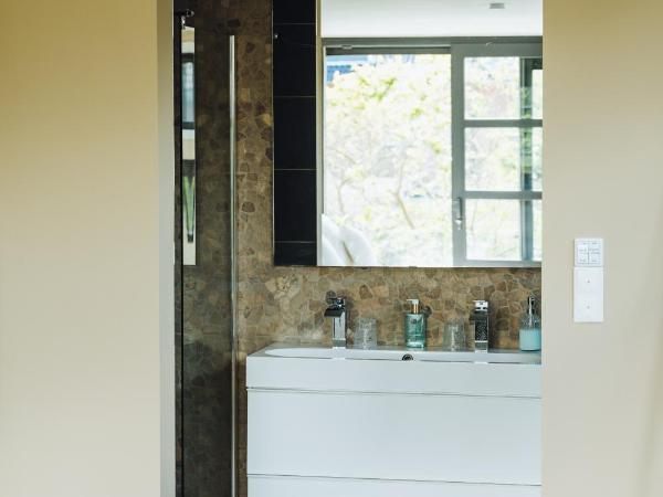 Sfeervol luxe appartement vlakbij Haarlem Centrum en Amsterdam - gratis parkeren : photo 8 de la chambre chambre double avec salle de bains privative