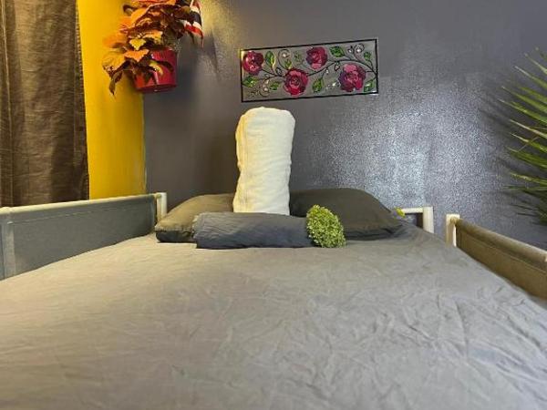 Auberge PVT Hostel : photo 5 de la chambre lit dans dortoir mixte de 4 lits