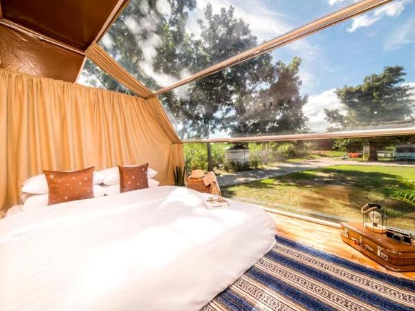 The Campster Kanchanaburi : photo 3 de la chambre 2 bedroom tent