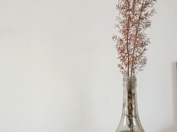 Nextdoor Kathmandu : photo 2 de la chambre appartement 1 chambre - vue sur jardin