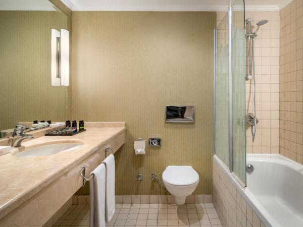 Kaya İstanbul Fair & Convention : photo 3 de la chambre chambre lit king-size exécutive