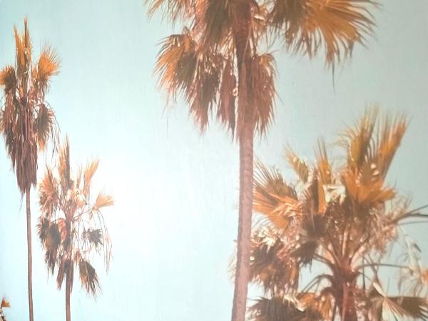 CitySurfer44 : photo 3 de la chambre no. 08 - the palms