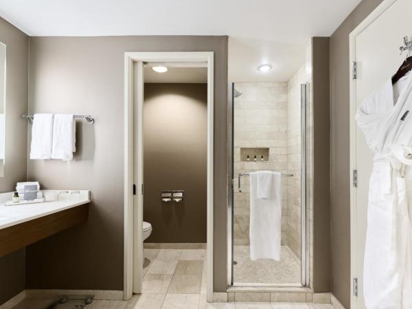 Fairmont Chicago Millennium Park : photo 2 de la chambre chambre signature 1 lit king-size - vue sur le parc