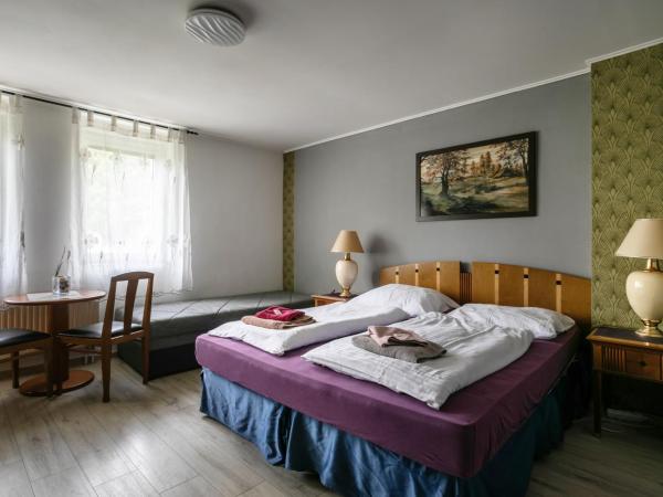 Hotel Panorama : photo 10 de la chambre chambre double
