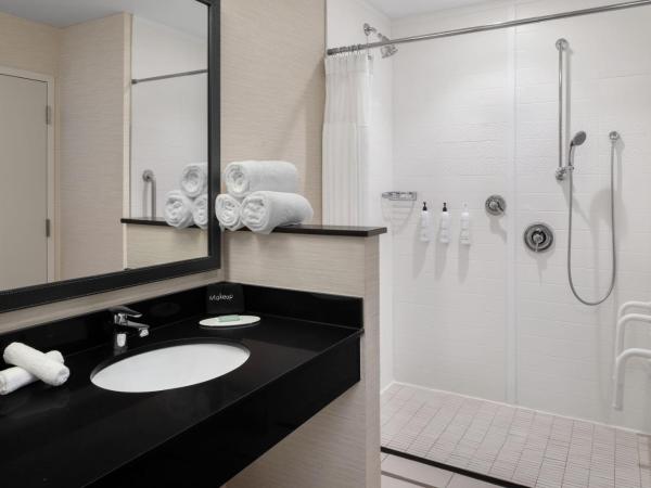 Fairfield Inn & Suites by Marriott Orlando Kissimmee/Celebration : photo 7 de la chambre chambre lit king-size