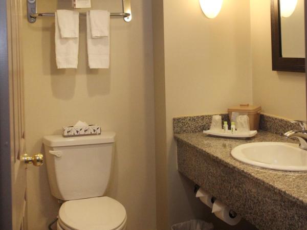 Montecassino Hotel & Suites : photo 2 de la chambre attribué à l'arrivée