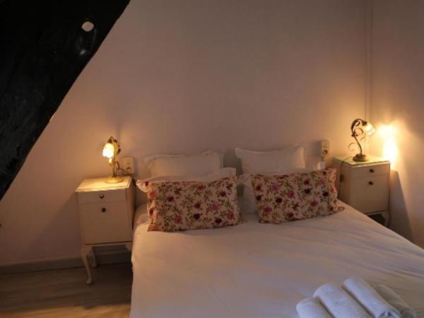 Le Poisson Ivre : photo 1 de la chambre chambre double