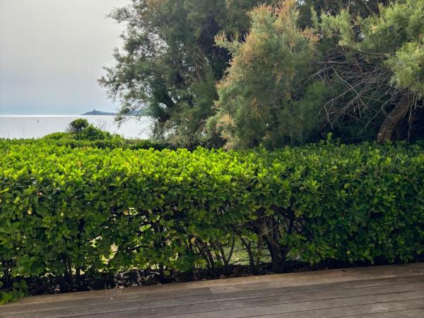 Hotel Thalassa : photo 7 de la chambre chambre double - vue sur mer