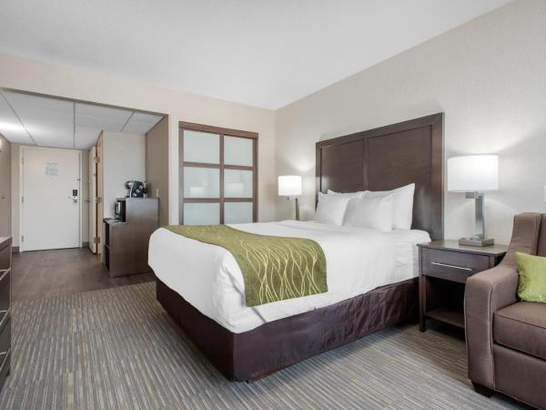 Comfort Inn & Suites : photo 5 de la chambre queen room with sofa-bed - accessible/non-smoking