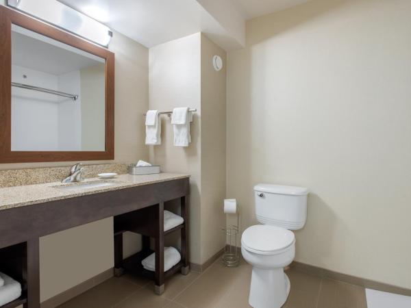 Comfort Inn & Suites : photo 8 de la chambre queen room with sofa-bed - accessible/non-smoking