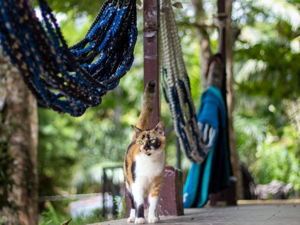 Cliff Cottage : photo 9 de la chambre chambre double deluxe - vue sur mer