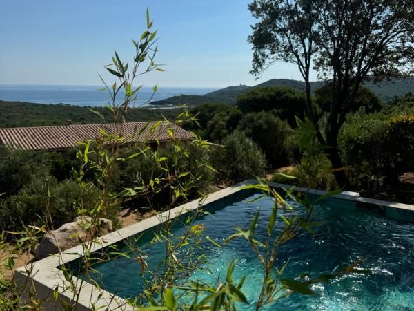 Résidence U Pirellu : photo 3 de la chambre villa avec piscine privée