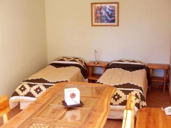 Apart Altos Del Nahuel : photo 7 de la chambre ce studio jouit d'une vue partielle sur le lac.