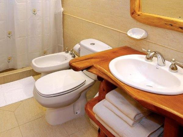 Apart Altos Del Nahuel : photo 8 de la chambre appartement 1 chambre - vue sur lac