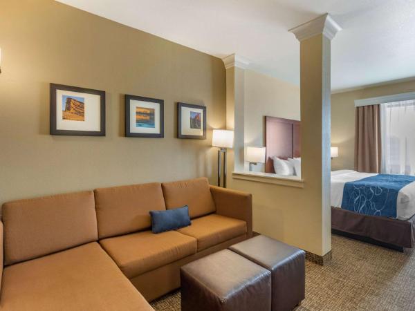 Comfort Suites Near Denver Downtown : photo 2 de la chambre suite lit king-size avec canapé-lit