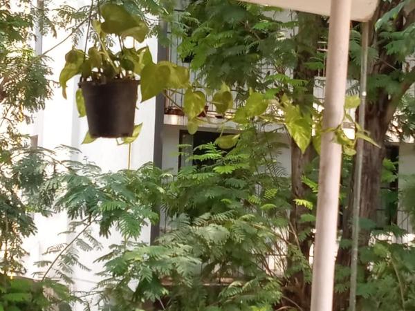 Room with a private Deck : photo 1 de la chambre appartement avec terrasse