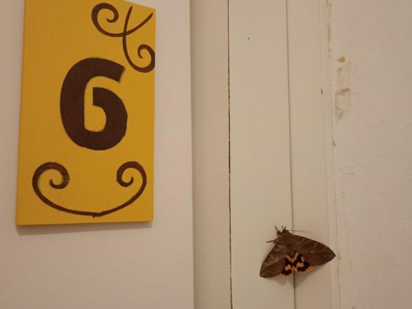 ACCA Hospedaria Vila Mariana : photo 1 de la chambre suite