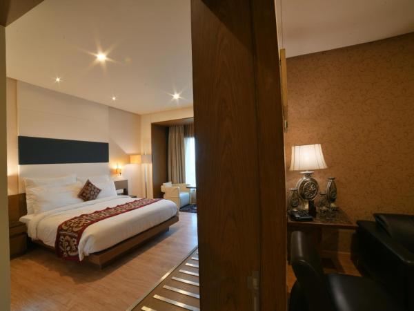 Narayani Heights, Ahmedabad : photo 1 de la chambre suite deluxe