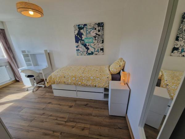 Chambre Lumineuse Orléans Gare : photo 1 de la chambre grande chambre simple 