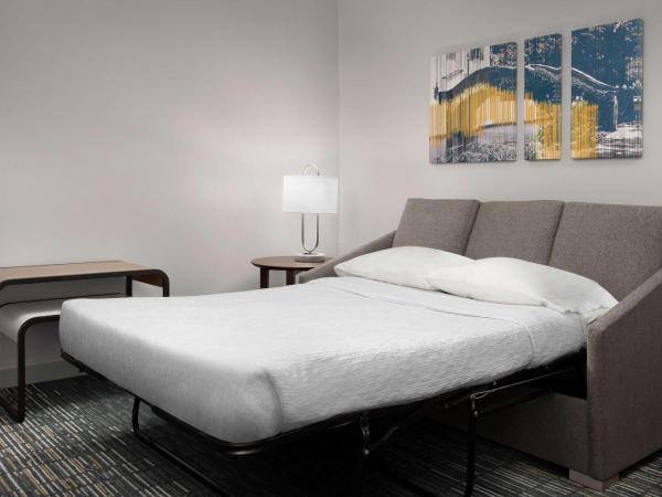Homewood Suites by Hilton San Antonio Riverwalk/Downtown : photo 3 de la chambre suite 1 chambre lit king-size