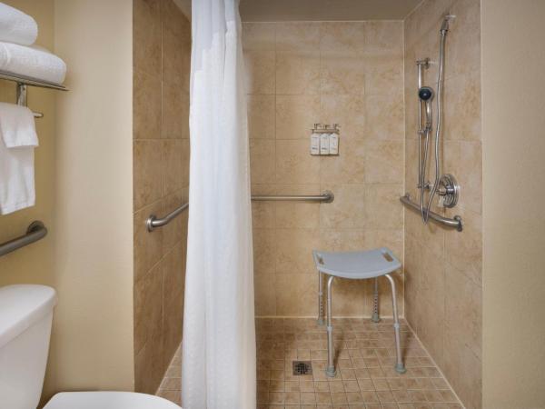 Holiday Inn & Suites Orlando SW - Celebration Area, an IHG Hotel : photo 2 de la chambre chambre lit king-size pour personnes à mobilité réduite – douche accessible en fauteuil roulant - non-fumeurs