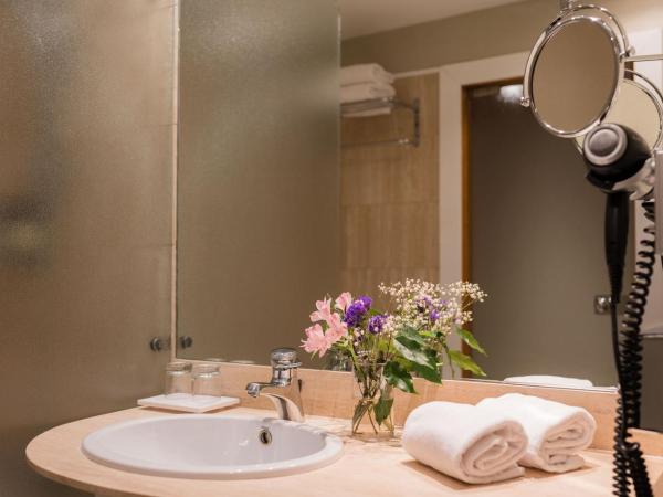 Hotel Ciudad de Valladolid : photo 5 de la chambre chambre double standard