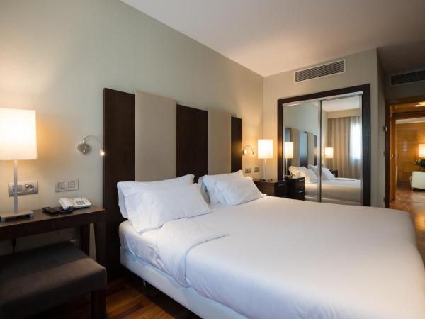 Hotel Ciudad de Valladolid : photo 4 de la chambre suite junior