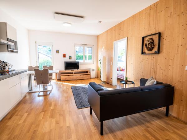 sHome Apartments Graz Ost - Self-Check-in & free parking : photo 6 de la chambre appartement 1 chambre avec terrasse