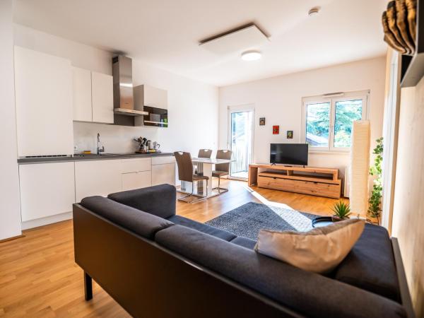 sHome Apartments Graz Ost - Self-Check-in & free parking : photo 4 de la chambre appartement 1 chambre avec terrasse