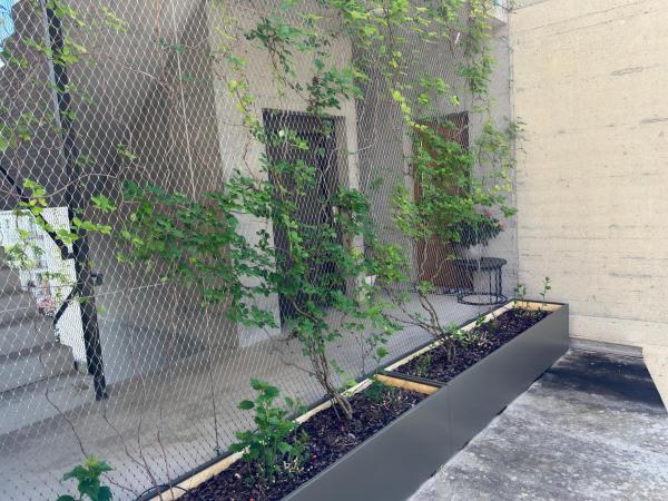 Villa Belforte : photo 9 de la chambre chambre lits jumeaux