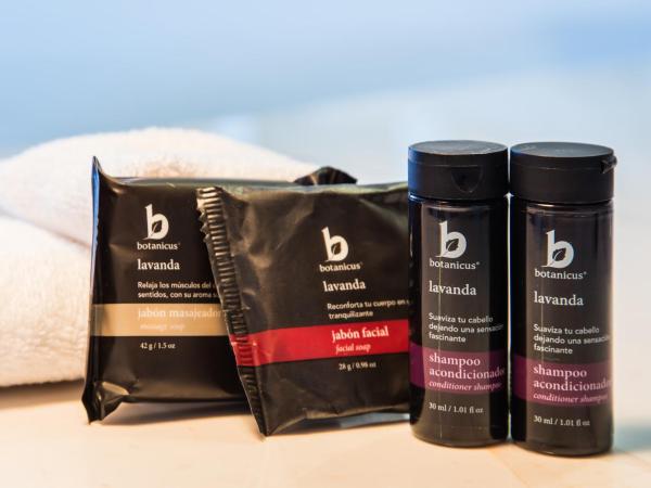 Fiesta Inn Insurgentes Viaducto : photo 6 de la chambre chambre double exécutive