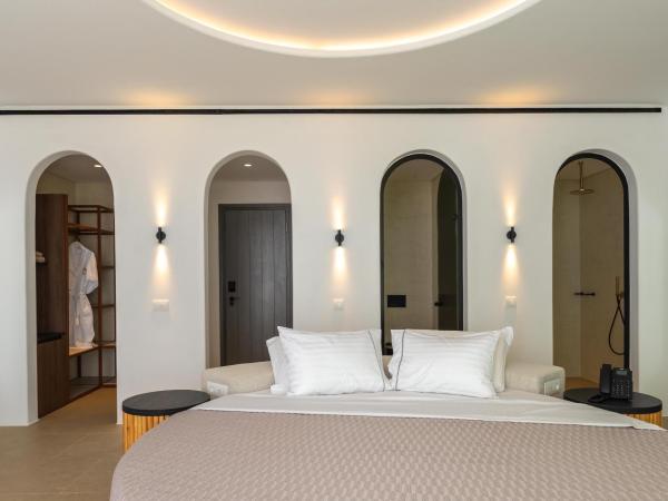 Muse Of Mykonos Luxury Suites : photo 5 de la chambre grand suite with outdoor pool