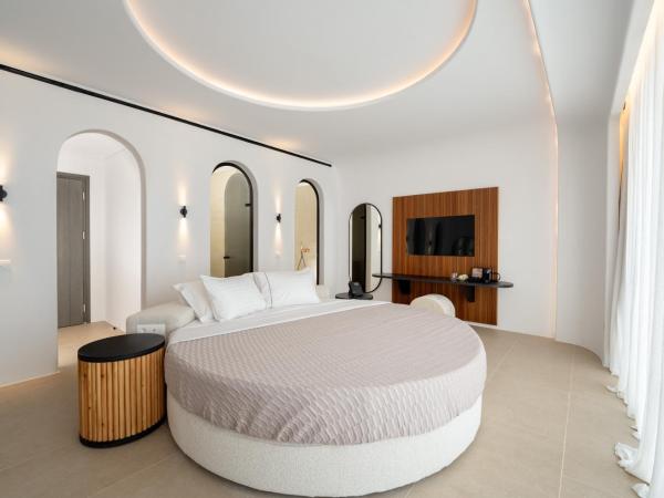 Muse Of Mykonos Luxury Suites : photo 4 de la chambre grand suite with outdoor pool
