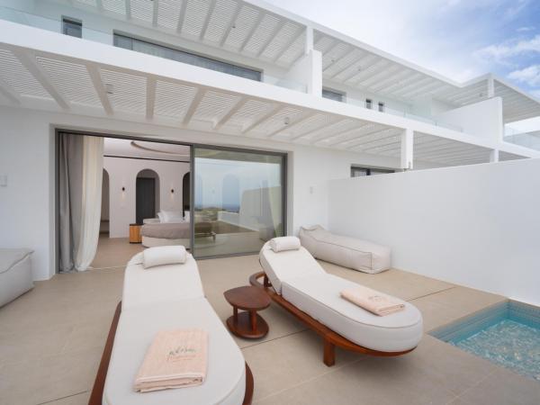 Muse Of Mykonos Luxury Suites : photo 3 de la chambre grand suite with outdoor pool