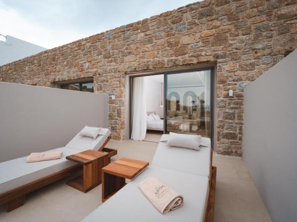 Muse Of Mykonos Luxury Suites : photo 2 de la chambre premium suite with outdoor pool